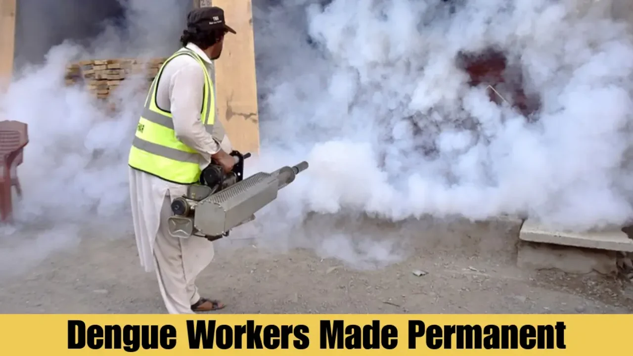Islamabad to Make Dengue Workers Permanent After PC-4 Submission